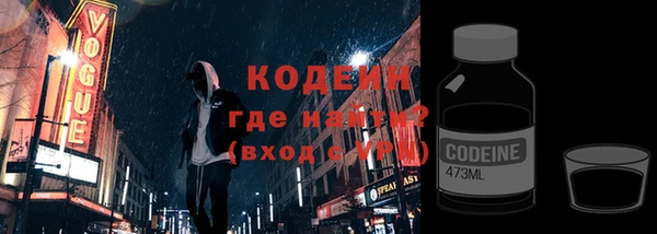 индика Богородск