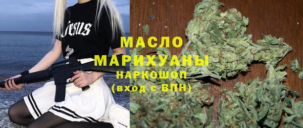 индика Богородск
