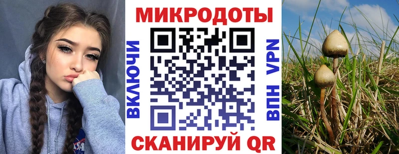 Псилоцибиновые грибы GOLDEN TEACHER Липецк